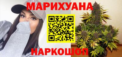 сатива Пенза