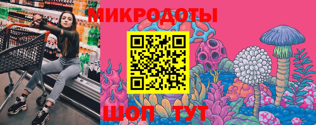 Светлоград  Галлюциногенные грибы Psilocybe  Вход с VPN  Псилоцибиновые грибы Psilocybe 