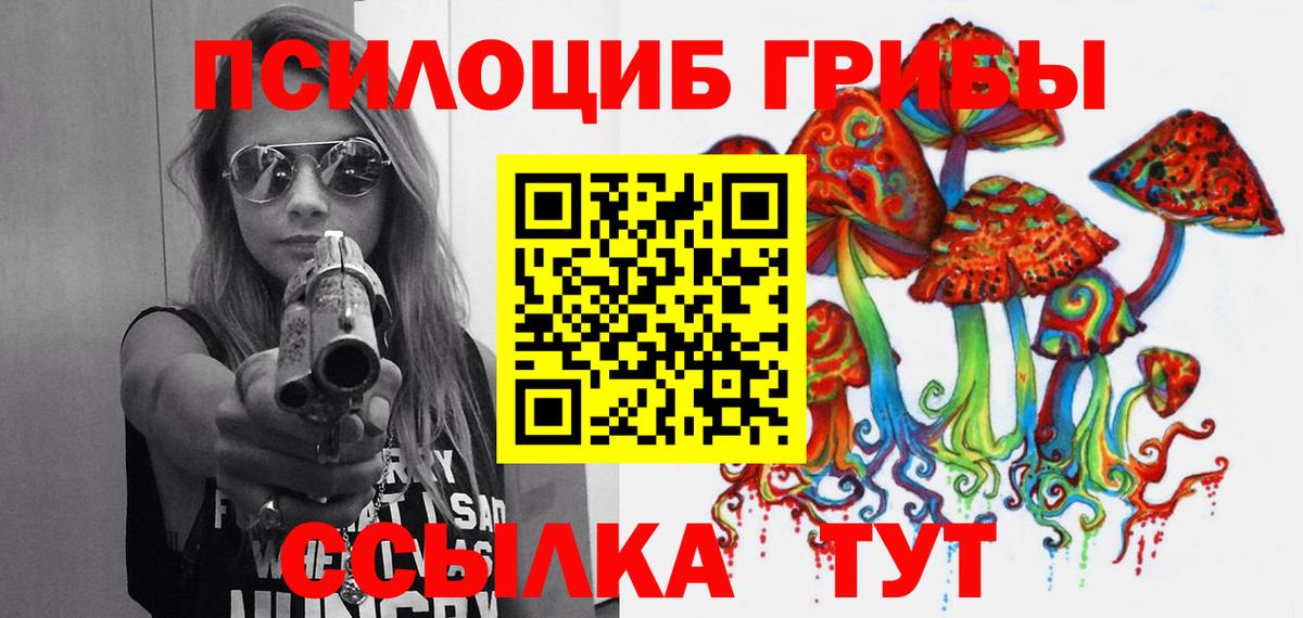 Псилоцибиновые грибы Cubensis Светлоград
